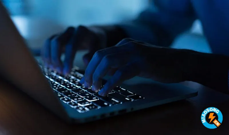 两名俄罗斯黑客被指挥十年中进行了两次国际计算机黑客入侵和银行欺诈计划