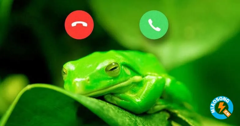 科学家建立了一个“青蛙电话”来远程追踪野蛙种群