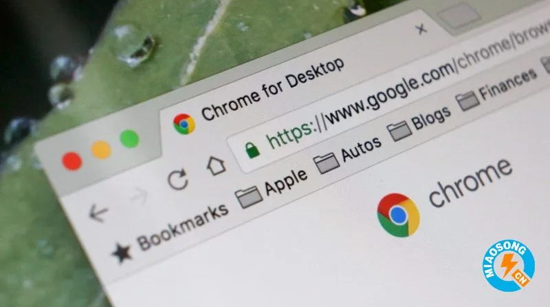 Google Chrome新功能：如果您的登录信息被盗会提醒您