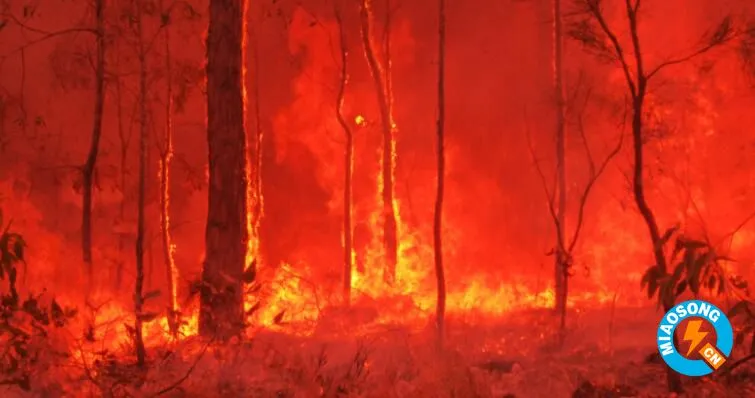 澳大利亚大火可能改变整个地球的气候