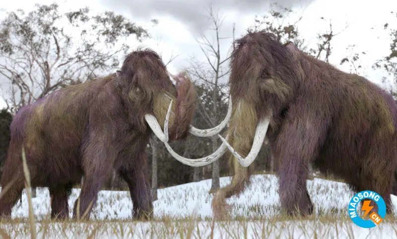 猛犸象DNA复活，将帮助科学家解释出该物种何灭绝的真实原因