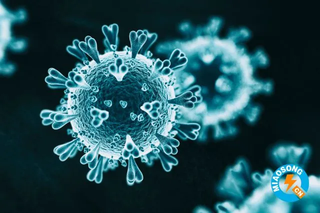 盖茨基金会：冠状病毒家庭测试试剂盒即将登陆西雅图