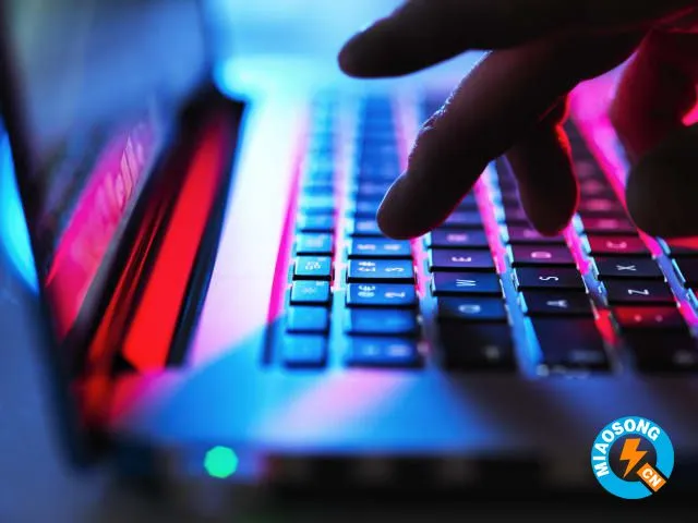 数据泄露：黑客组织ShinyHunters在暗网上出售了超过7300万条被盗用户记录
