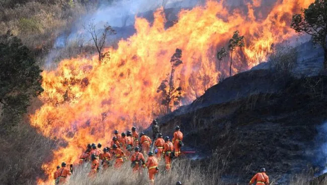 海南森林一名消防员不满工作量大待遇低，八次放火毁林获刑10年半