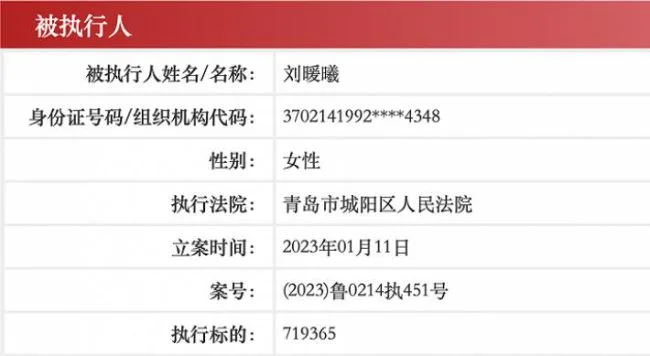 刘暖曦（原名刘鑫）已成被执行人，执行标的71.94万元