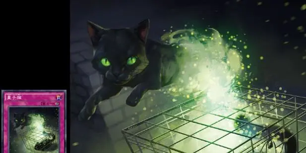 Taproot Wizards 第三次推迟“量子猫 NFT”比特币序号系列铸造